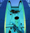 Book Bickley Accommodation Vacations Attractions Perth Attractions Perth