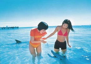  Attractions Perth