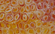 Seva Frangos Art - thumb 2