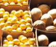 Brisbane Markets - Attractions Perth 0