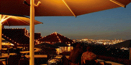 Brisbane Lookout - Mount Coo-tha - Attractions Perth 2