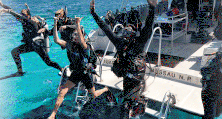 Milton QLD Attractions Perth