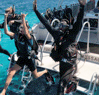 Snorkel Safari Brisbane - Attractions Perth