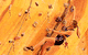 Rocksports Indoor Climbing - thumb 0