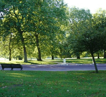 William Taylor Park - Attractions Perth