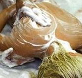Exotique Massage - Attractions Perth