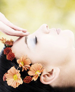 Retreat In The Suburbs - Attractions Perth 2