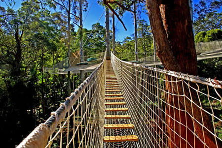  Attractions Perth