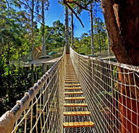 Thunderbird Park - Attractions Perth