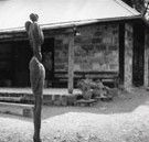 The Baldessin Press - Attractions Perth
