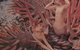 Bower Gallery - thumb 1