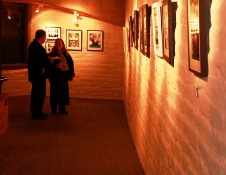 Eltham Library Community Gallery - Attractions Perth 1