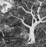 Tacit Contemporary Art - Attractions Perth 0