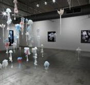 Nellie Castan Gallery - Attractions Perth