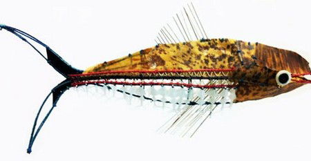 Vivien Anderson Gallery - Attractions Perth 3