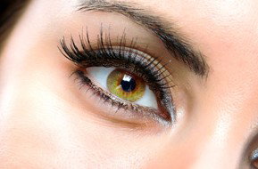 Beauty On Ryrie - Attractions Perth 1