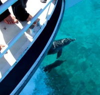 Pelican Charters - Attractions Perth