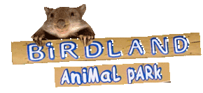 Birdland Animal Park - Attractions Perth
