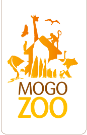 Mogo Zoo - Attractions Perth
