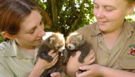 Mogo Zoo - Attractions Perth 3