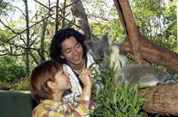 Taronga Zoo - Attractions Perth 2