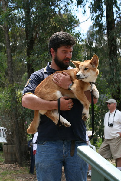 Jirrahlinga Koala & Wildlife Sanctuary - Attractions Perth 2