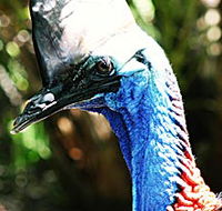 Alma Park Zoo - Attractions Perth