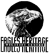 Eagles Heritage - Attractions Perth 0