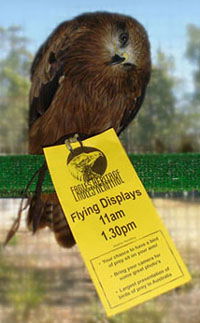 Eagles Heritage - Attractions Perth 1