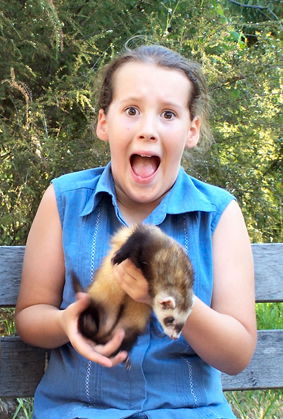 Peel Zoo - Attractions Perth 1