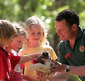 Cleland Wildlife Park - Attractions Perth