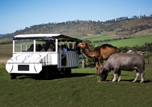 Zoo Doo Wildlife Park - Attractions Perth 2