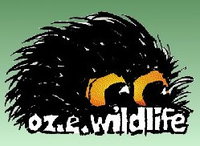 Book Wodonga Accommodation Vacations Attractions Perth Attractions Perth