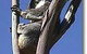 OZe Wildlife - thumb 2