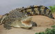 Dundee's Wildlife Park - thumb 0