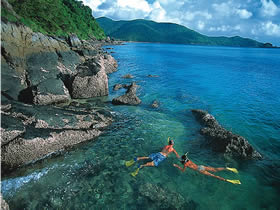 Llewellyn Dive Site - Attractions Perth 0