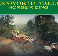 Glenworth Valley Horseriding - Attractions Perth