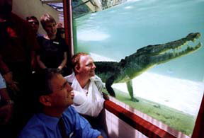 Alice Springs Reptile Centre - Attractions Perth 1