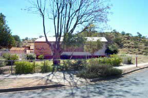 Alice Springs Reptile Centre - Attractions Perth 3