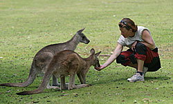 Great Oak Holdings Pty Ltd - Attractions Perth 2