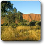 Attractions Perth