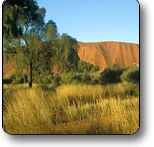 Uluru - Kata Tjuta National Park - Attractions Perth