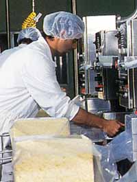 Allansford Cheese World - Attractions Perth 1