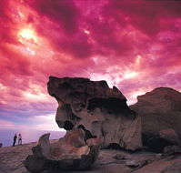 Kangaroo Island Adventure Tour 2 day/1 night - Attractions Perth