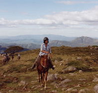 High Country Horses - Attractions Perth
