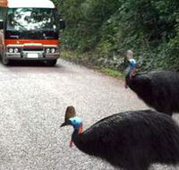 Kookaburra Tours - Attractions Perth