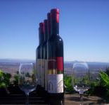 Mount Tamborine Winery  Homestead - Attractions Perth