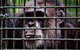 Rockhampton Zoo - thumb 0