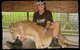 Cairns Wildlife Safari Reserve - thumb 1