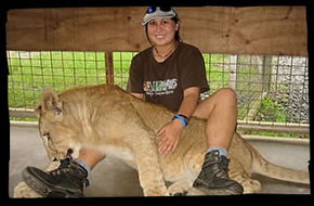 Cairns Wildlife Safari Reserve - Attractions Perth 1